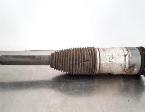 Shock Absorber TESLA MODEL S (5YJS)