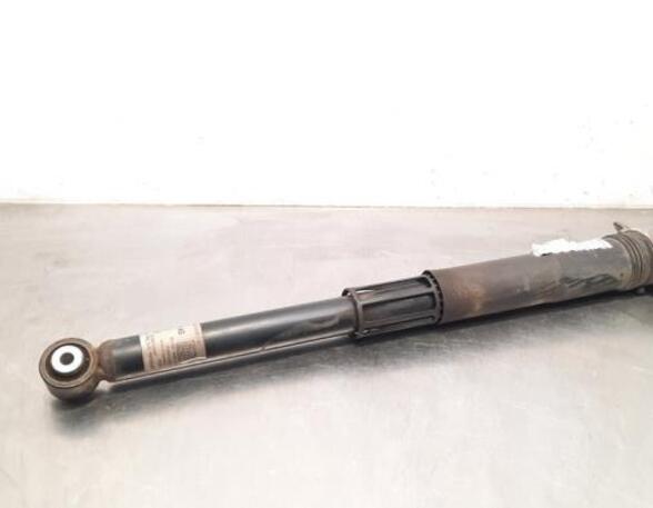 Shock Absorber VW GOLF VIII (CD1)