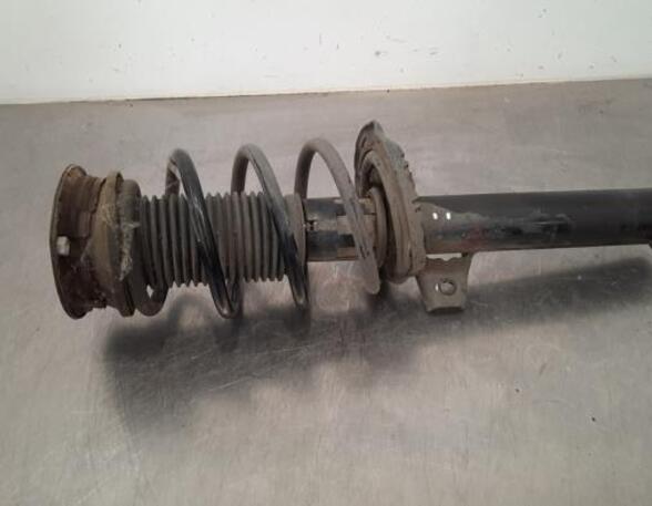 Shock Absorber SKODA KODIAQ (NS7, NV7, NS6)