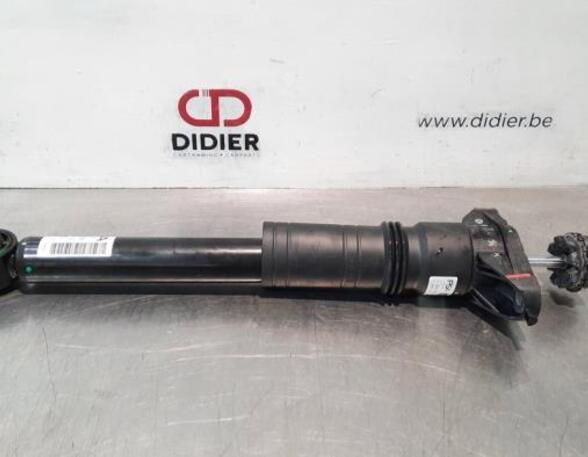 Shock Absorber DS DS 3 / DS 3 CROSSBACK (UR_, UC_, UJ_)