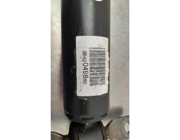 Shock Absorber DS DS 4 II (F_, FB_, F3_)