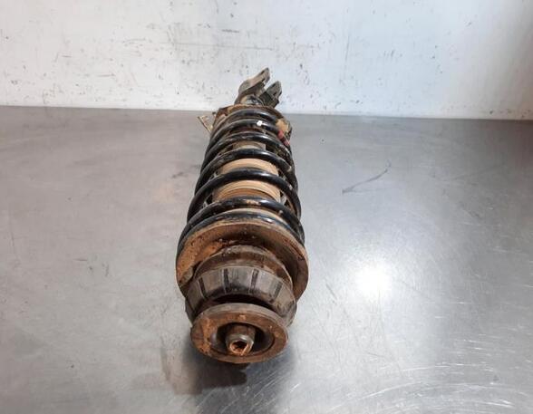 Shock Absorber NISSAN MICRA V (K14)