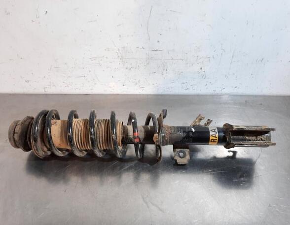 Shock Absorber NISSAN MICRA V (K14)