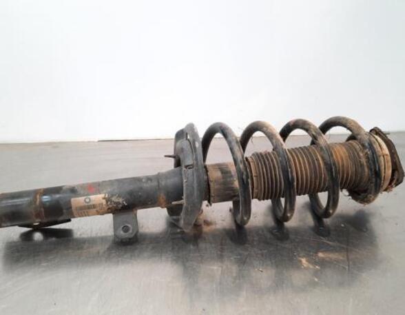 Shock Absorber FORD TRANSIT V363 Bus (FAD, FBD)