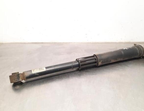 Shock Absorber VW GOLF VIII (CD1)