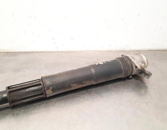 Shock Absorber VW GOLF VIII (CD1)