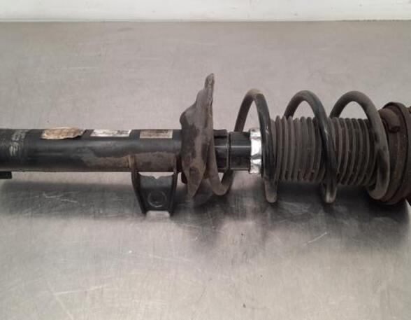 Shock Absorber VW GOLF VIII (CD1)