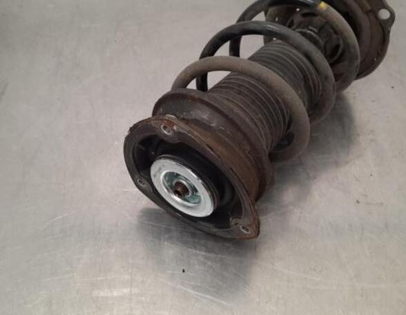 Shock Absorber VW GOLF VIII (CD1)