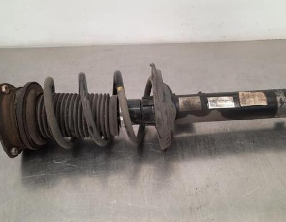 Shock Absorber VW GOLF VIII (CD1)