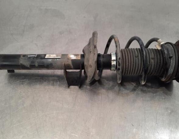 Shock Absorber SKODA OCTAVIA III (5E3, NL3, NR3)