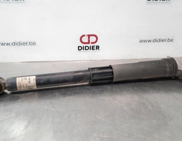 Shock Absorber VW GOLF VIII (CD1)