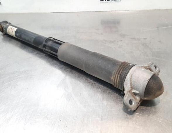 Shock Absorber VW GOLF VIII (CD1)