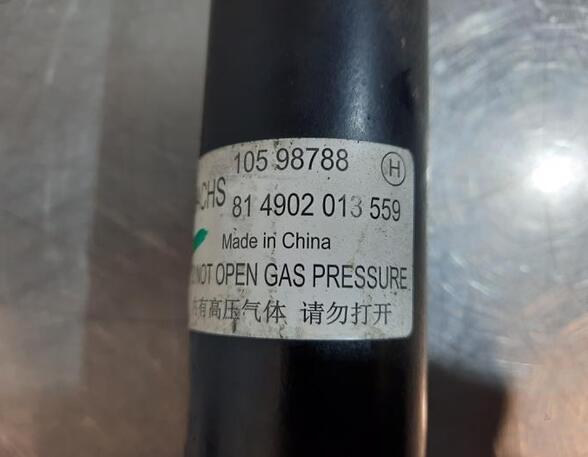 Shock Absorber MG MG HS