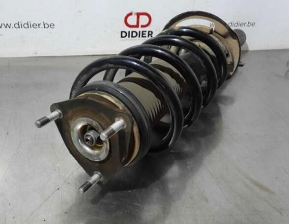 Shock Absorber FORD TRANSIT V363 Platform/Chassis (FED, FFD)