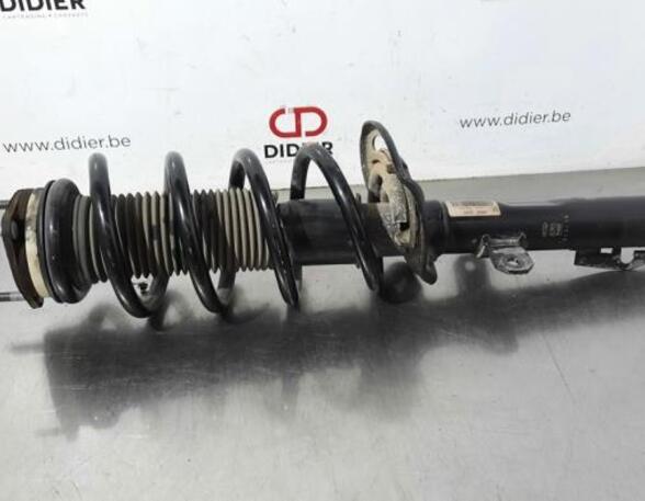 Shock Absorber FORD TRANSIT V363 Platform/Chassis (FED, FFD)