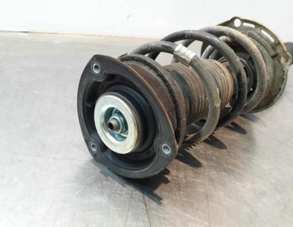 Shock Absorber VW PASSAT (3G2, CB2), VW PASSAT B8 Variant (3G5, CB5)