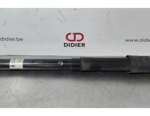 Shock Absorber HONDA HR-V (RU)