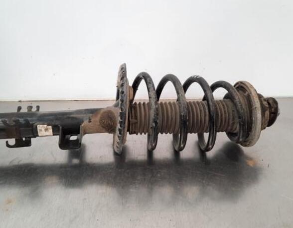 Shock Absorber VW TRANSPORTER V Van (7HA, 7HH, 7EA, 7EH), VW TRANSPORTER VI Van (SGA, SGH, SHA, SHH)