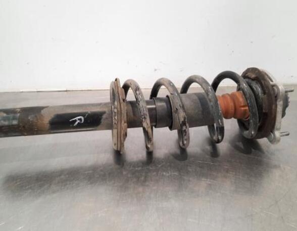 Shock Absorber AUDI A6 Avant (4G5, 4GD, C7)