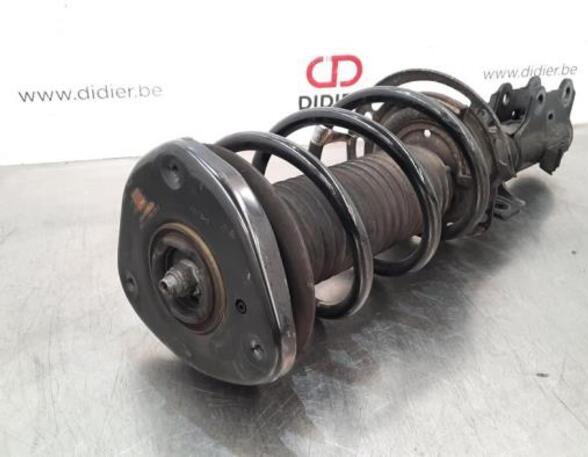 Shock Absorber FORD FOCUS IV (HN)