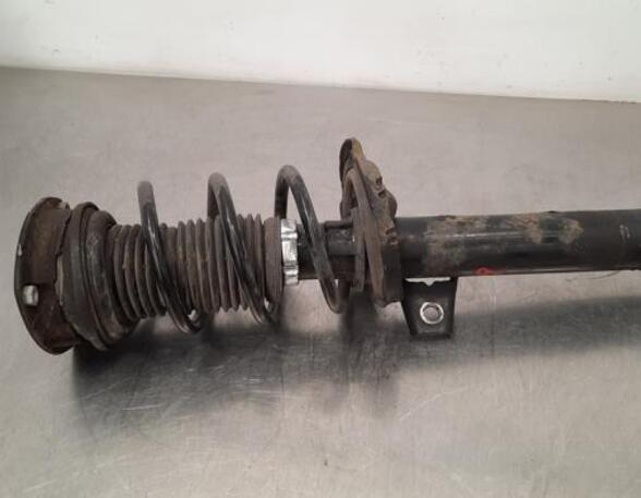 Shock Absorber VW GOLF VIII (CD1)