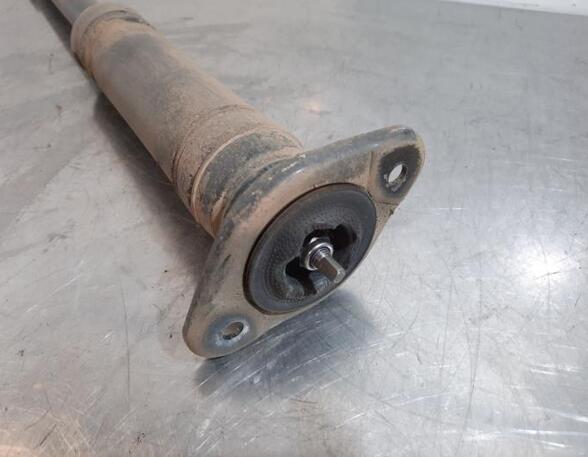 Shock Absorber NISSAN MICRA V (K14)