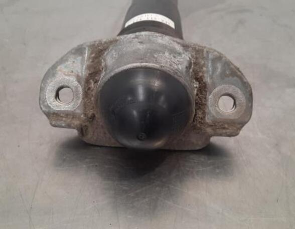 Shock Absorber CUPRA BORN (K11)