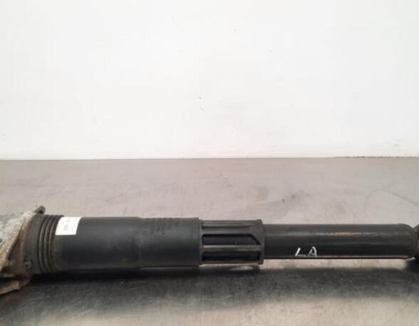 Shock Absorber CUPRA BORN (K11)