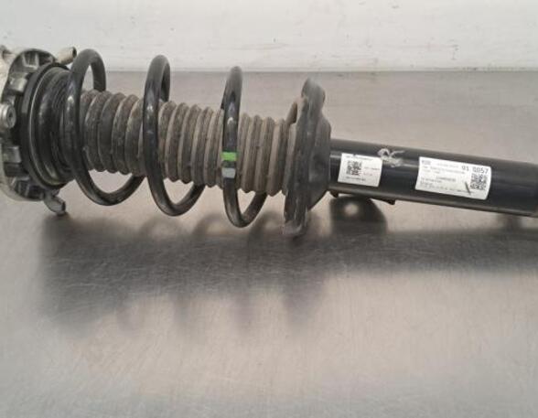 Shock Absorber AUDI Q4 SUV (F4B)