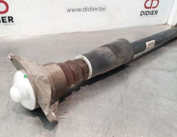 Shock Absorber AUDI A4 (8W2, 8WC, B9)