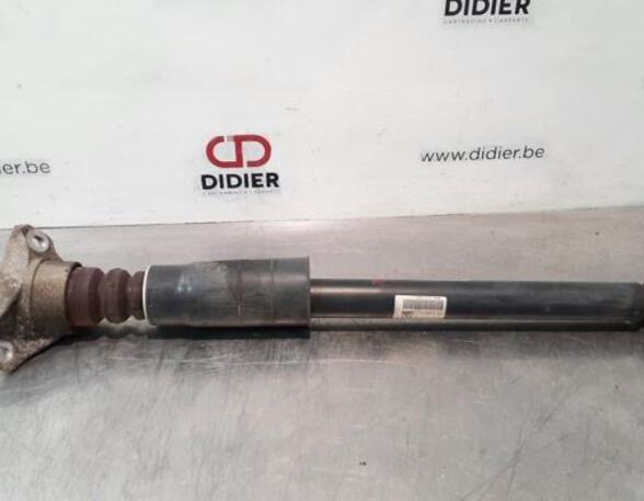 Shock Absorber AUDI A4 (8W2, 8WC, B9)