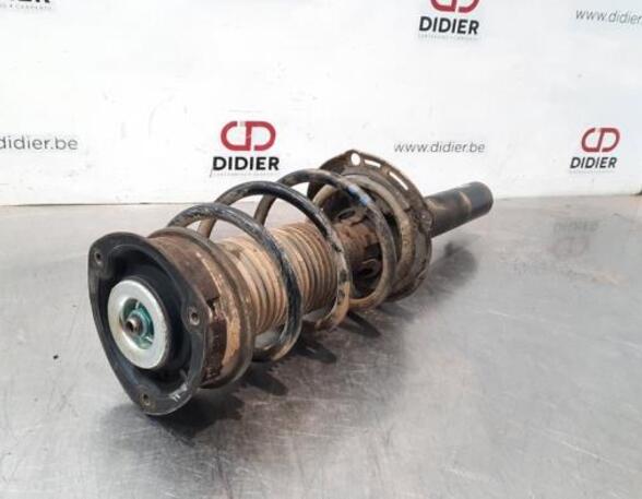 Shock Absorber SKODA OCTAVIA III Combi (5E5, 5E6)