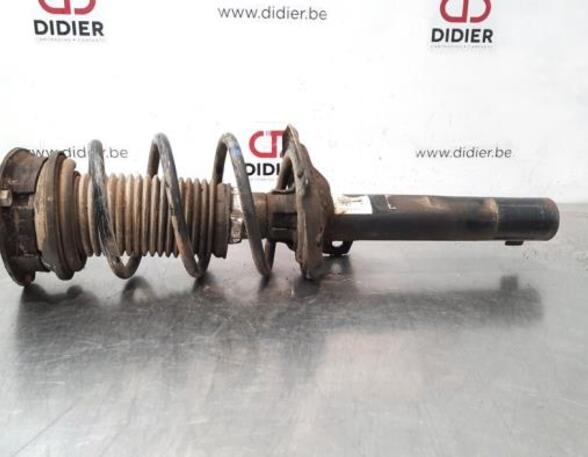 Shock Absorber SKODA OCTAVIA III Combi (5E5, 5E6)