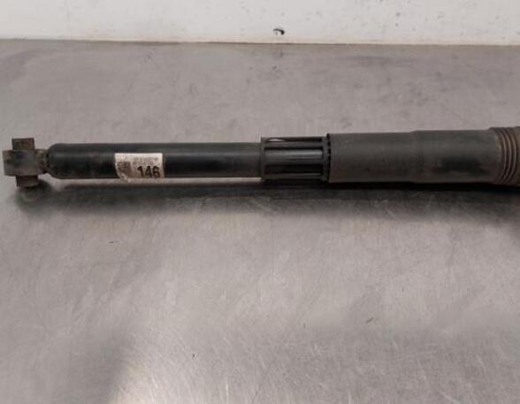 Shock Absorber SKODA KODIAQ (NS7, NV7, NS6)