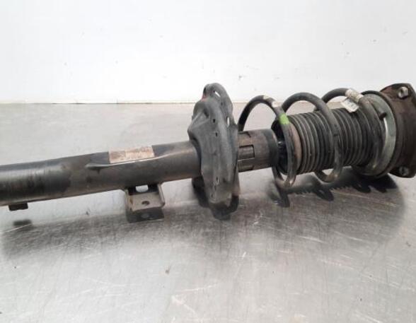 Shock Absorber VW POLO (AW1, BZ1), SEAT IBIZA V (KJ1, KJG)