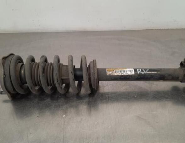 Shock Absorber MERCEDES-BENZ C-CLASS (W205)