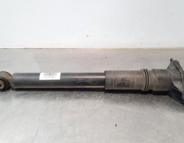 Shock Absorber CITROËN C4 III (BA_, BB_, BC_)