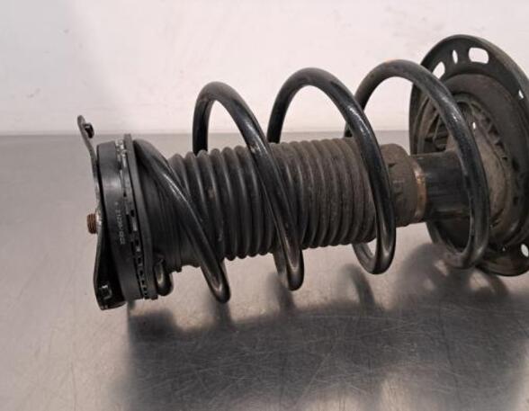 Shock Absorber CITROËN C4 III (BA_, BB_, BC_)