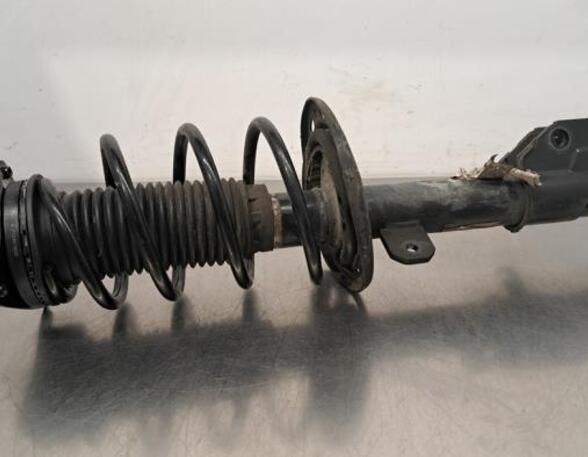 Shock Absorber CITROËN C4 III (BA_, BB_, BC_)