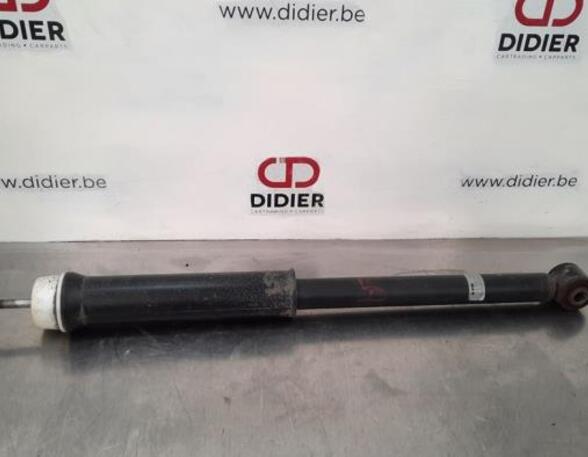 Shock Absorber RENAULT CLIO V (B7_)