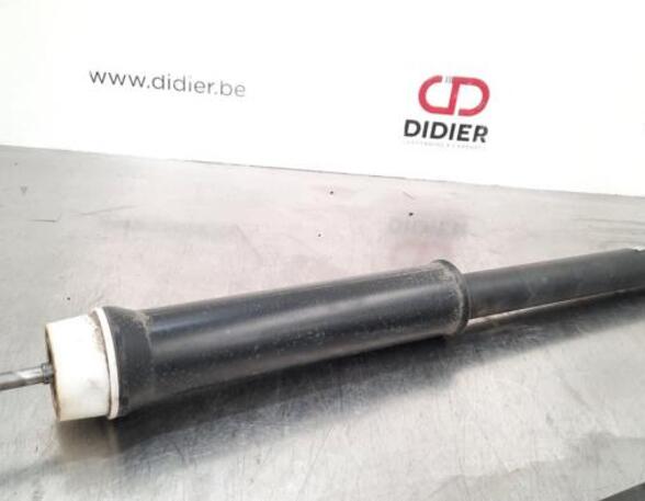 Shock Absorber RENAULT CLIO V (B7_)