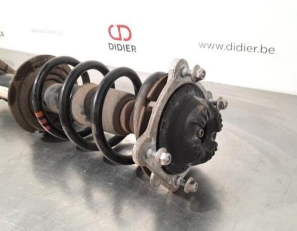 Shock Absorber AUDI A6 Avant (4G5, 4GD, C7)