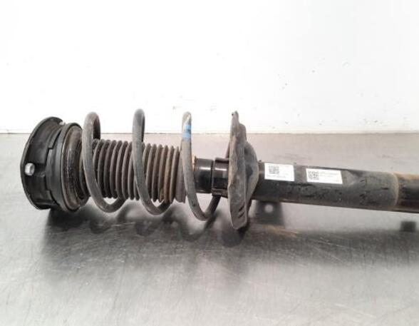 Shock Absorber SKODA OCTAVIA IV Combi (NX5)