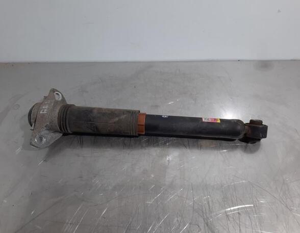 Shock Absorber TOYOTA RAV 4 V (_A5_, _H5_)