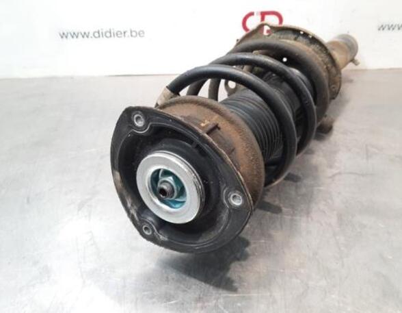 Shock Absorber SKODA KAROQ (NU7, ND7)