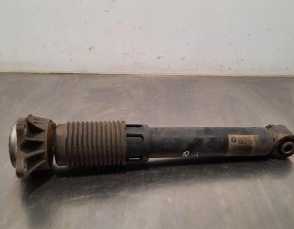 Shock Absorber BMW 5 Touring (F11)