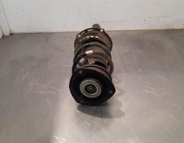 Shock Absorber SKODA SCALA (NW1)