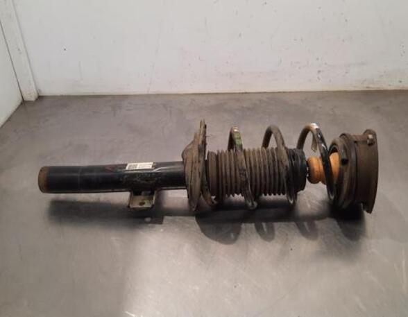 Shock Absorber SKODA SCALA (NW1)