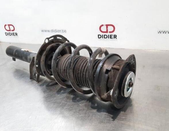 Shock Absorber VW GOLF VIII (CD1)