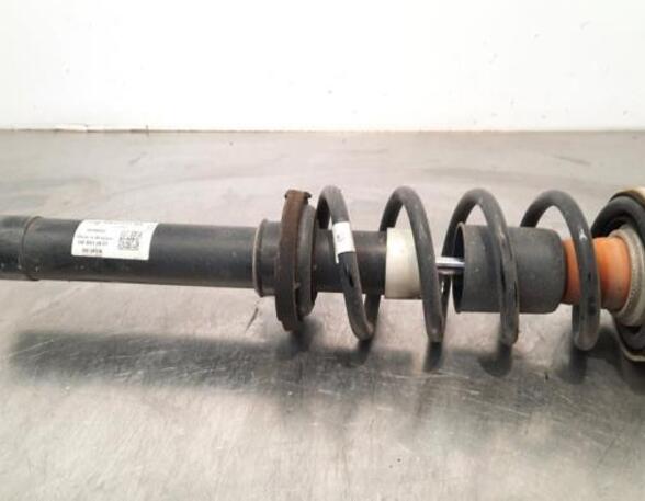 Shock Absorber AUDI A4 (8K2, B8), AUDI A4 (8W2, 8WC, B9)